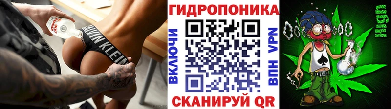 Марихуана Amnesia  Купить где  Сясьстрой 